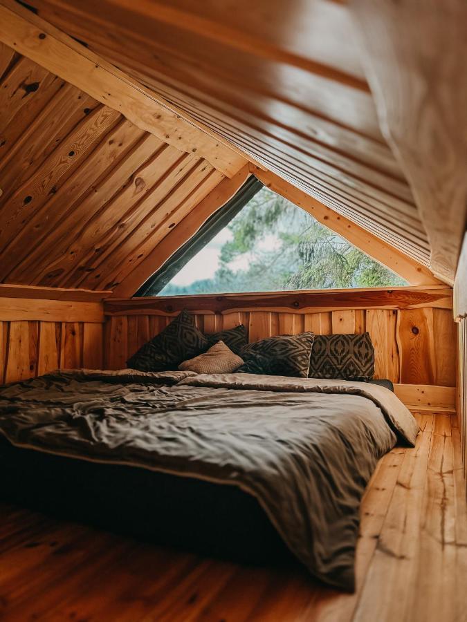 Dragon House In The Tree! Jacuzzi, Sauna ,Cinema,Heated Lici  Ngoại thất bức ảnh