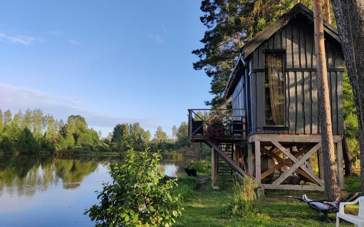 Dragon House In The Tree! Jacuzzi, Sauna ,Cinema,Heated Lici  Ngoại thất bức ảnh
